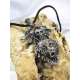 COLGANTE TRES LOBOS CON CALAVERA