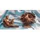 LA CREACION DE MIGUEL ANGEL-VERONESE MYTHS AND LEGENDS