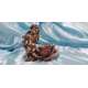 ANGEL CON ROSA-VERONESE STUDIO COLLECTION