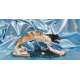 UNITY-JODY BERGSMA