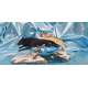 UNITY-JODY BERGSMA