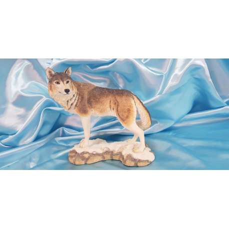 LONESOME-LOBO SOLITARIO