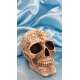 CALAVERA CELTA