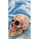 CALAVERA CELTA