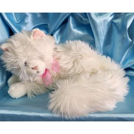 GATO BLANCO