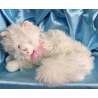 GATO DE PELUCHE-RUSS AND BERRIE