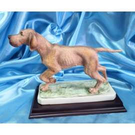 POINTER-GIORDANO DI PONZANO