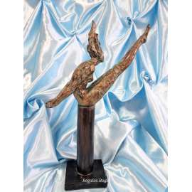 SALTADORA DE NATACIÓN