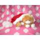 GATITO NAVIDEÑO