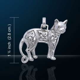 GATO CELTA-PETER STONE