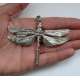 GODDESS DRAGONFLIES-PETER STONE