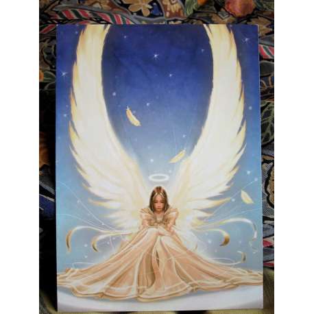 PURITY-ANDREW MIN PARK-TREE-FREE CARD 
